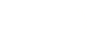 ISO 28001 White